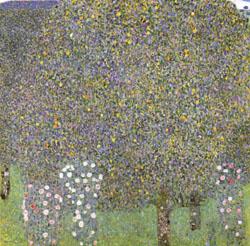 Gustav Klimt Rose Bushes Under the Trees Sweden oil painting art